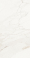 Malaysia Calacatta Levigato 12 x 24