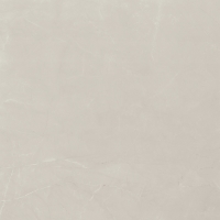 Gemme Breccia Cenere Lux 24 x 24