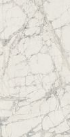 Prexious Mountain Treasure Glossy 24 x 48