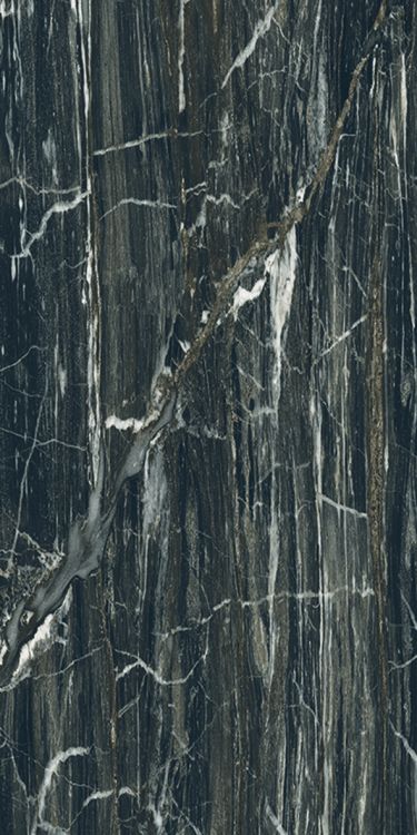 Classici Brazillian Glossy 12 x 24 Classici Brazillian Glossy 12 x 24