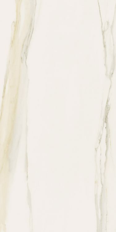 Classici Calacatta Gold Glossy 12 x 24