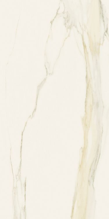 Classici Calacatta Gold Glossy 12 x 24
