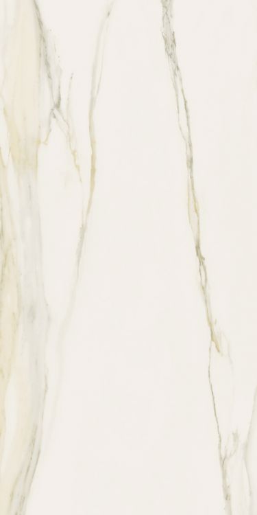 Classici Calacatta Gold Glossy 12 x 24