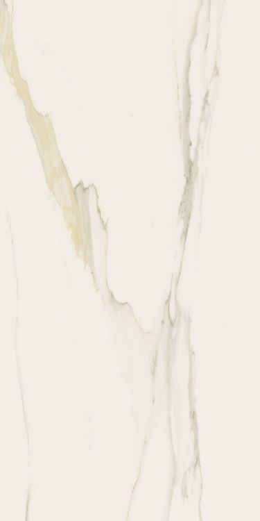 Classici Calacatta Gold Glossy 12 x 24