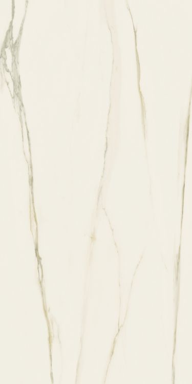 Classici Calacatta Gold Glossy 12 x 24