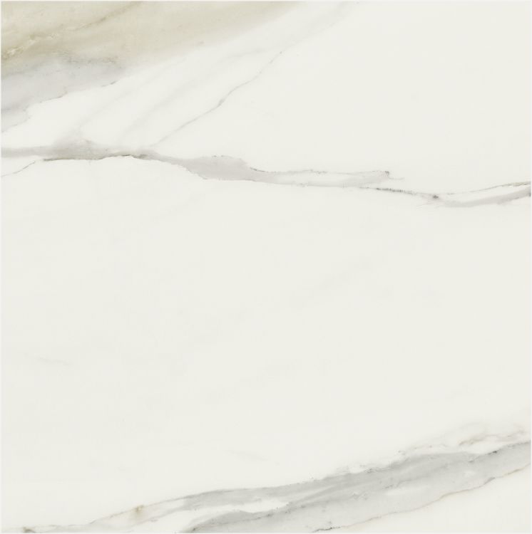 Classici Calacatta Gold Glossy 32 x 32