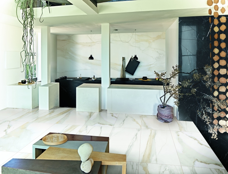 Classici Calacatta Gold Matte 32 x 32