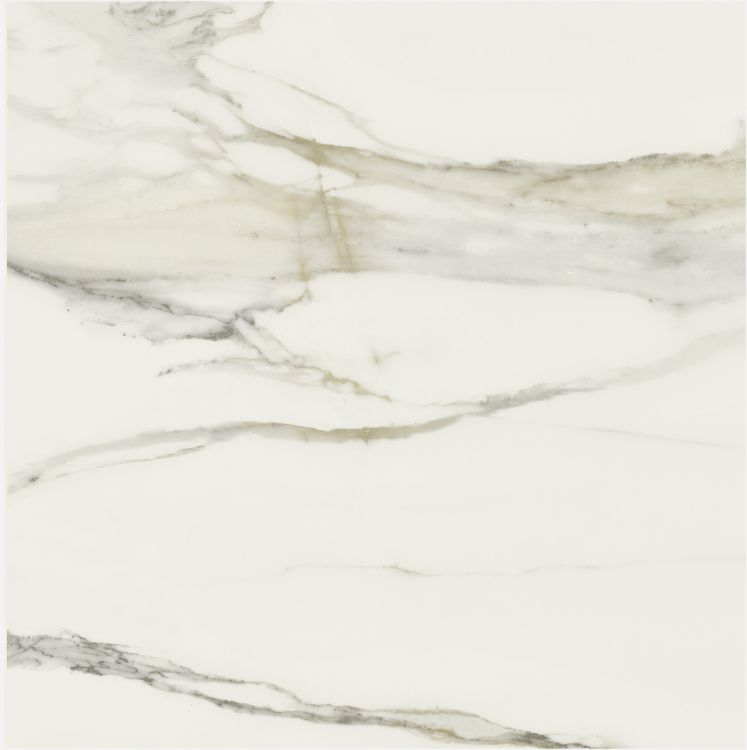 Classici Calacatta Gold Matte 32 x 32