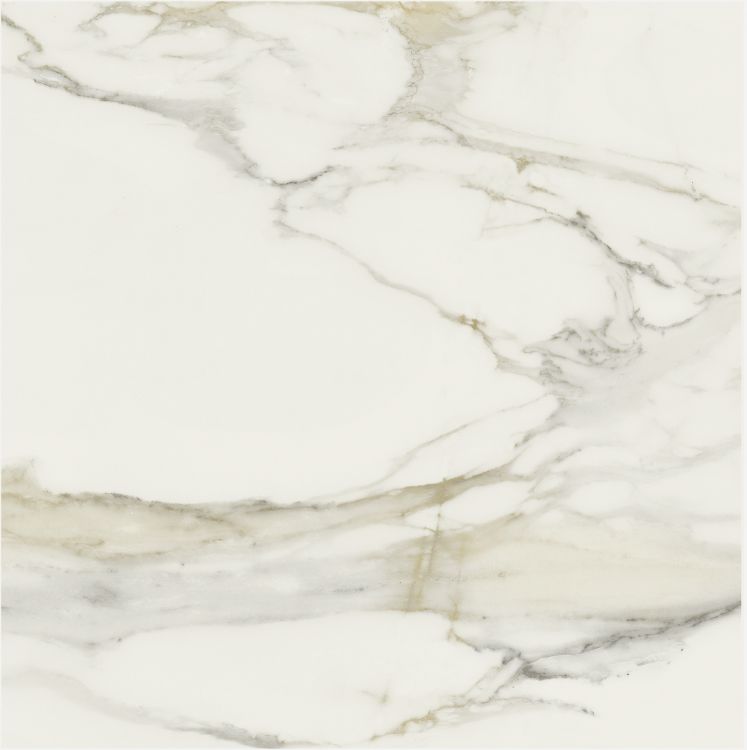 Classici Calacatta Gold Matte 32 x 32