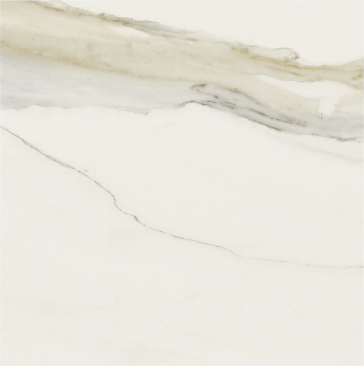 Classici Calacatta Gold Matte 32 x 32