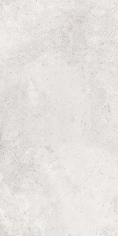 Art Travertine Matte 24 x 48