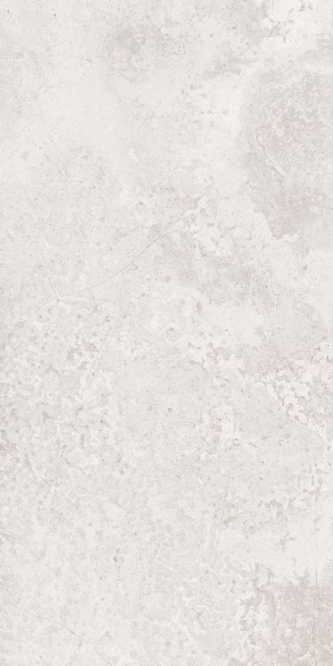 Art Travertine Lappato 24 x 48