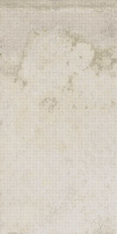 HLC Alchimia 10 - Bianco Decoro 24 x 48 HLC Alchimia 10 - Bianco Decoro 24 x 48