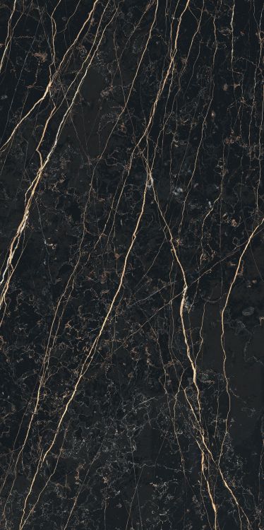 Prexious Thunder Night Matte 24 x 48