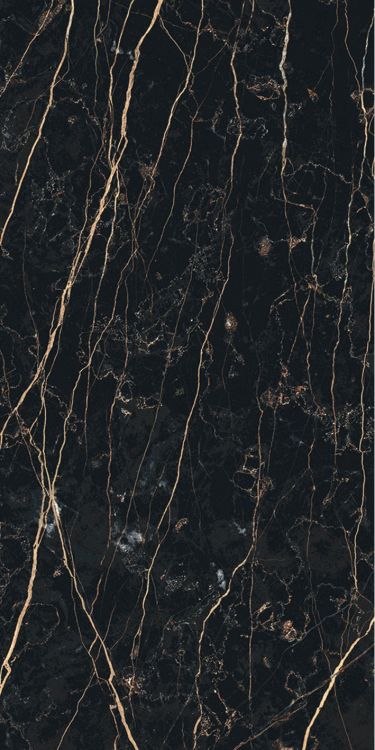 Prexious Thunder Night Glossy 12 x 24