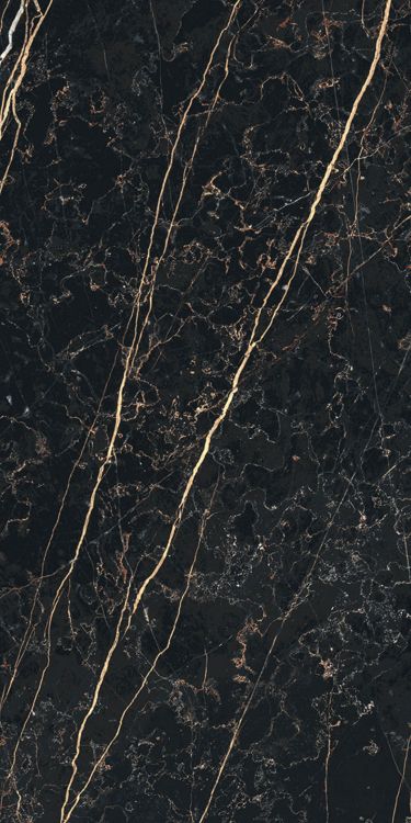 Prexious Thunder Night Glossy 12 x 24