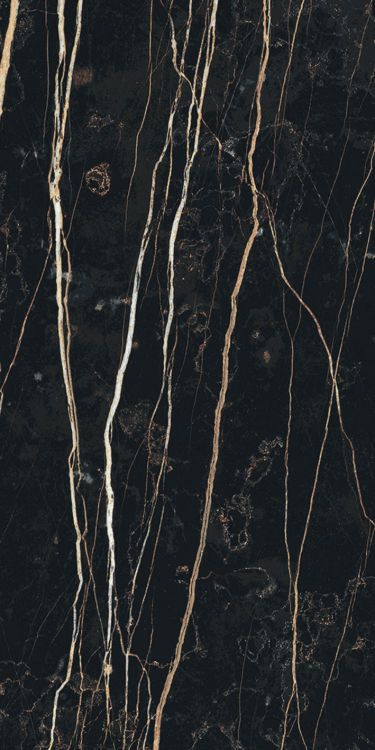 Prexious Thunder Night Glossy 12 x 24