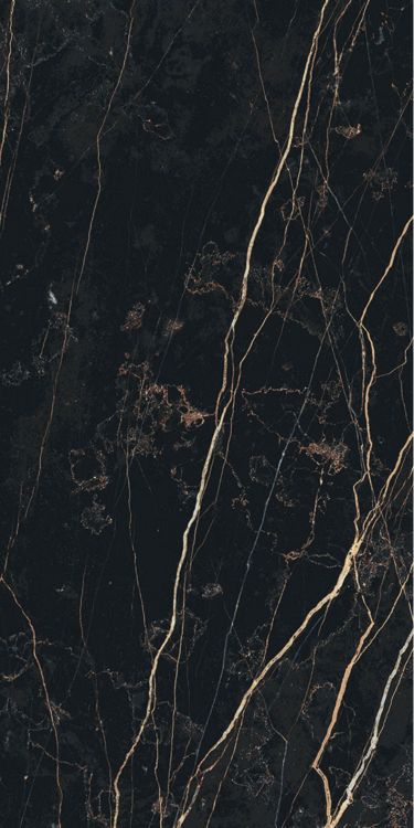 Prexious Thunder Night Glossy 12 x 24