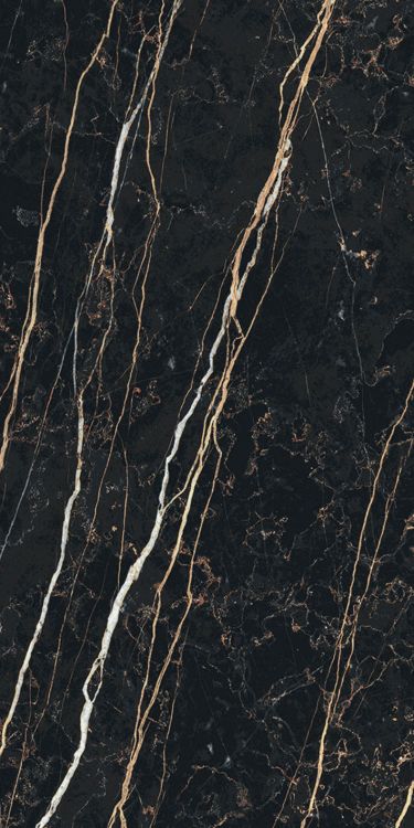 Prexious Thunder Night Glossy 12 x 24