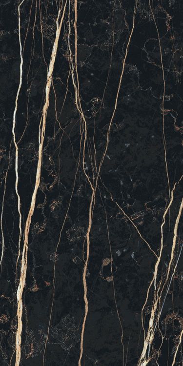 Prexious Thunder Night Glossy 12 x 24
