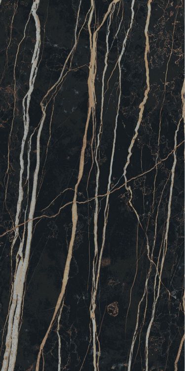 Prexious Thunder Night Glossy 12 x 24