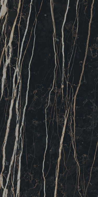Prexious Thunder Night Glossy 12 x 24