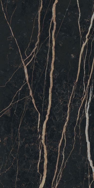 Prexious Thunder Night Glossy 12 x 24