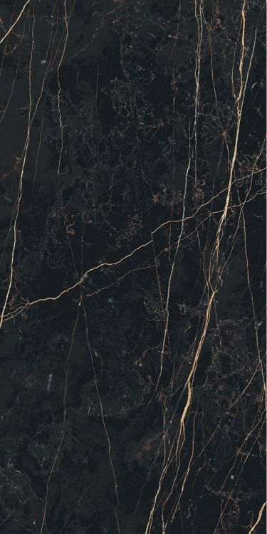 Prexious Thunder Night Glossy 12 x 24