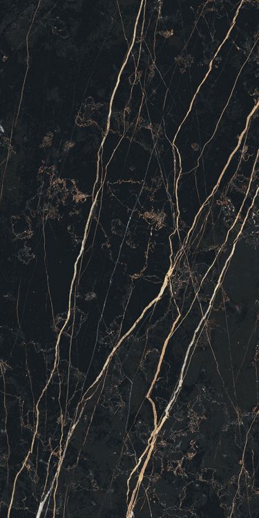 Prexious Thunder Night Glossy 12 x 24