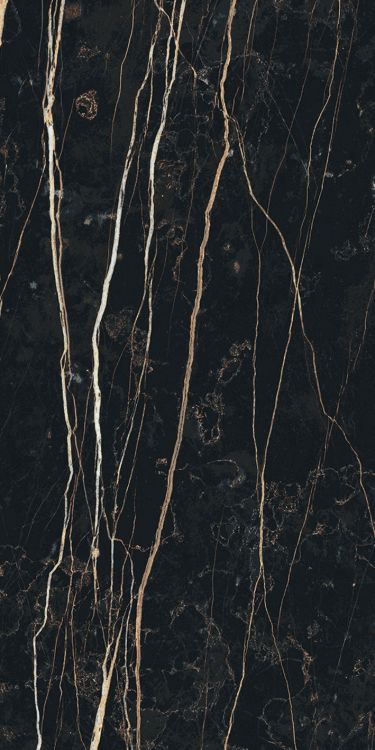 Prexious Thunder Night Glossy 12 x 24