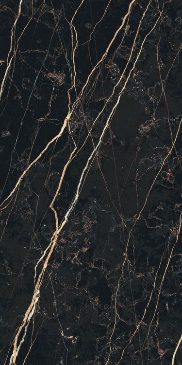 Prexious Thunder Night Glossy 12 x 24