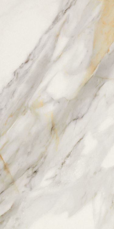 Marmi Macchiavecchia Levigato 12 x 24 Marmi Macchiavecchia Levigato 12 x 24