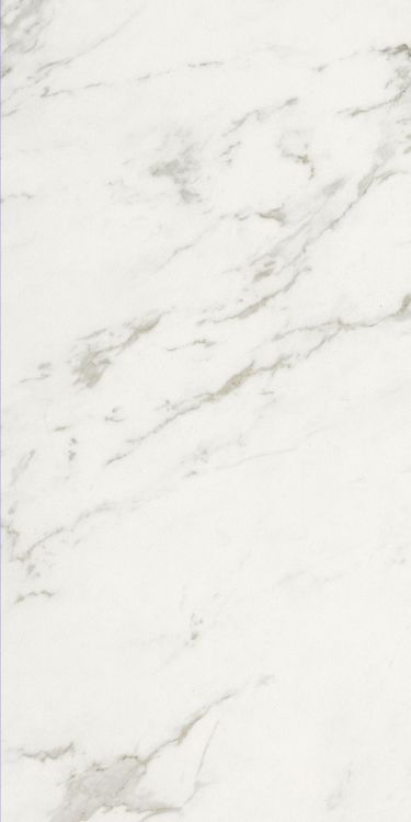 Marmi Calacatta Levigato 12 x 24