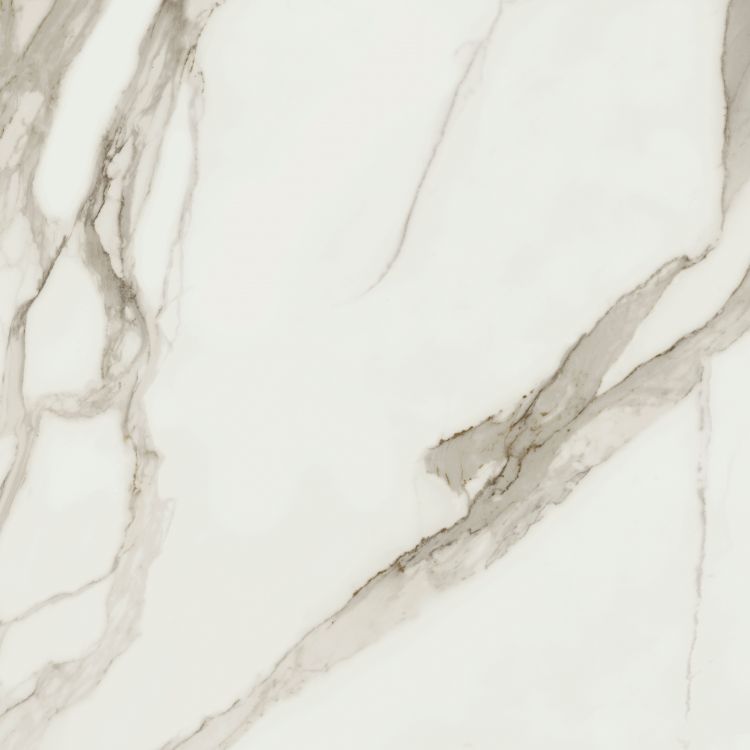 Prestigio Calacatta Lucido 48 x 48
