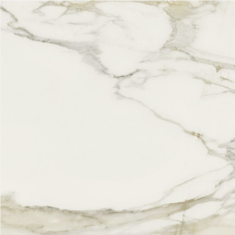 Classici Calacatta Gold Glossy 24 x 24