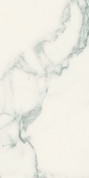 Classici Statuario Soft 24 x 48 Classici Statuario Soft 24 x 48