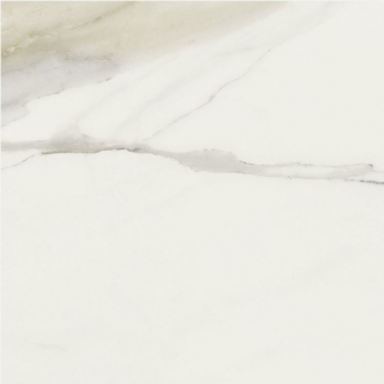 Classici Calacatta Gold Matte 24 x 24
