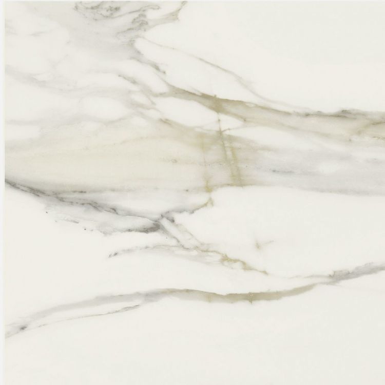 Classici Calacatta Gold Matte 24 x 24