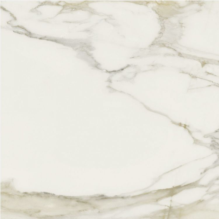 Classici Calacatta Gold Matte 24 x 24