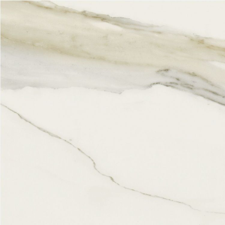 Classici Calacatta Gold Matte 24 x 24 Classici Calacatta Gold Matte 24 x 24