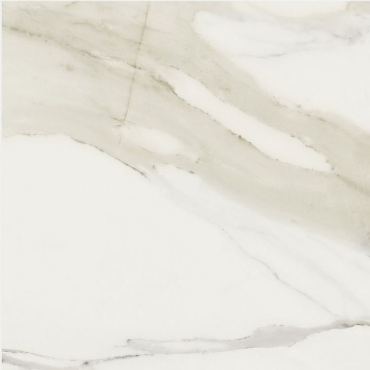 Classici Calacatta Gold Matte 24 x 24