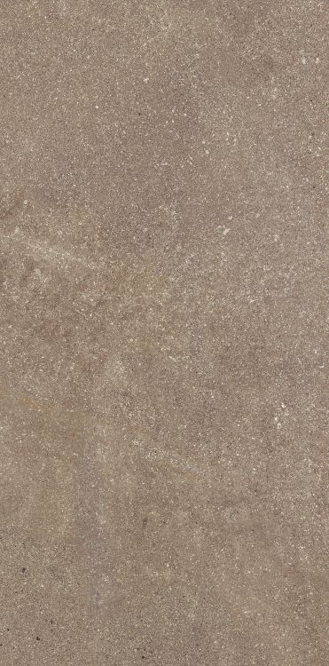 Madison Noce 12 x 24 Madison Noce 12 x 24