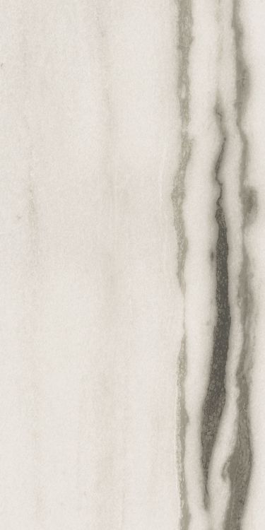 Prexious White Fantasy Matte 12 x 24 Prexious White Fantasy Matte 12 x 24
