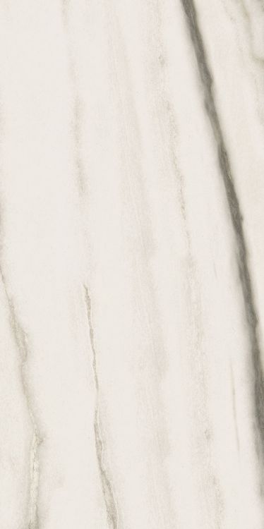 Prexious White Fantasy Matte 12 x 24
