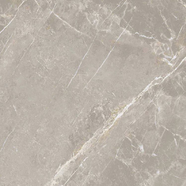 Dolomia Grey Luc 24 x 24
