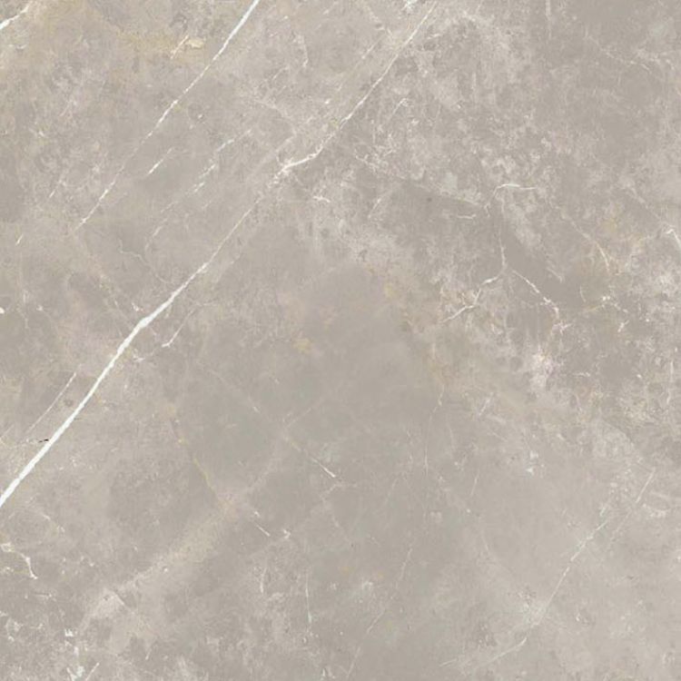 Dolomia Grey Luc 24 x 24