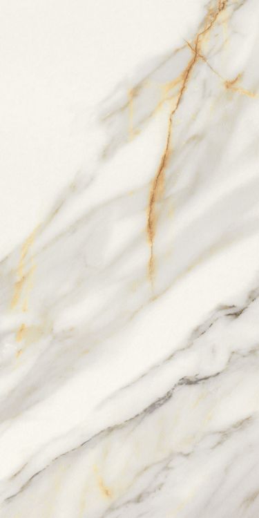 Marmi Macchiavecchia Matte 12 x 24
