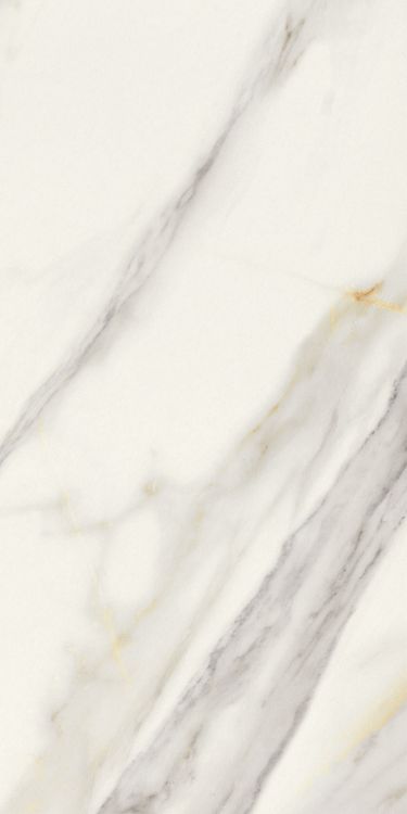 Marmi Macchiavecchia Matte 12 x 24
