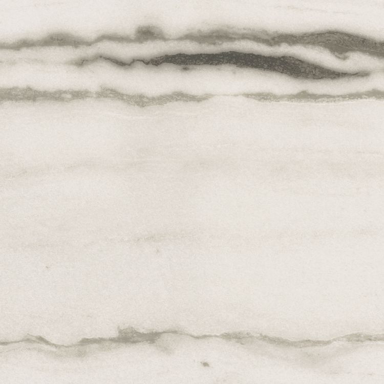 Prexious White Fantasy Matte 24 x 24 Prexious White Fantasy Matte 24 x 24