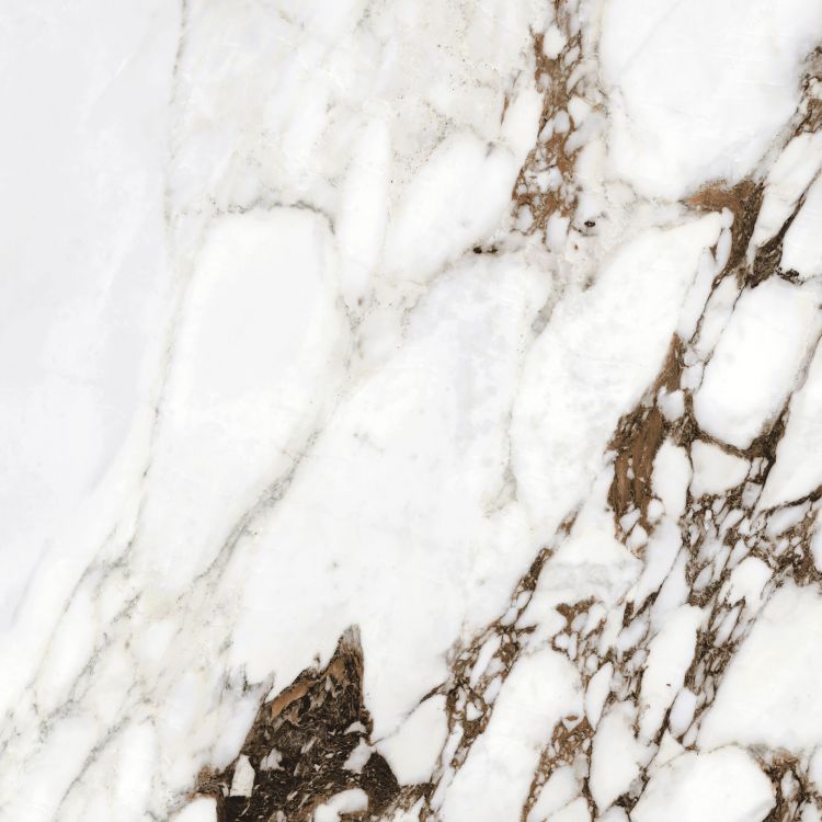Bijoux Breche Capraia Glossy 32 x 32